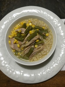 chicken soup - meat only with brown rice